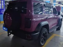 2021 Tank 300 Off-road 2.0T Conqueror — фото 3