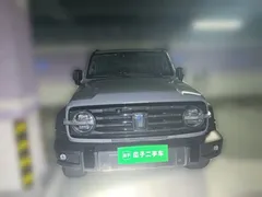 2021 Tank 300 Off-road 2.0T Conqueror — фото 23