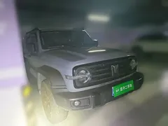 2021 Tank 300 Off-road 2.0T Conqueror — фото 24