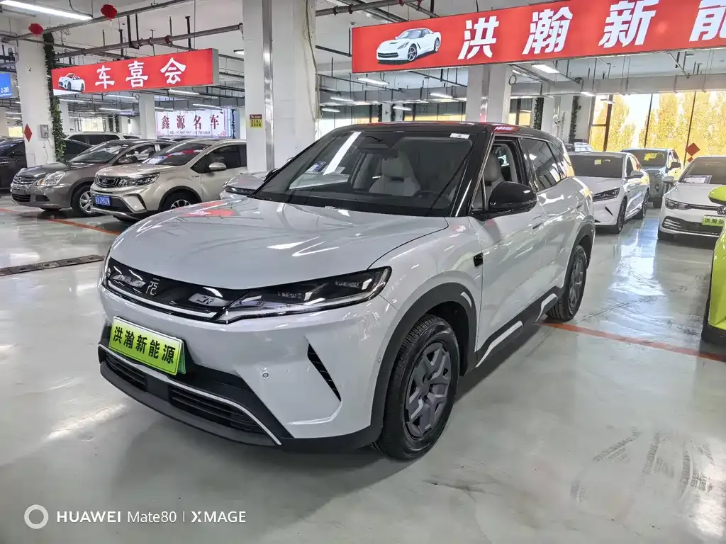 2025 BYD Yuan UP Smart Driving 401km Vitality