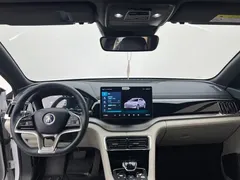 2021 BYD Song PLUS DM-i PHEV 110KM Flagship Plus, белый — фото 8