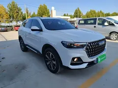 2023 Haval H6 1.5T AT Guochao Champion, белый — фото 4