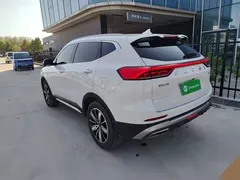 2023 Haval H6 1.5T AT Guochao Champion, белый — фото 5