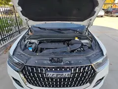 2023 Haval H6 1.5T AT Guochao Champion, белый — фото 20