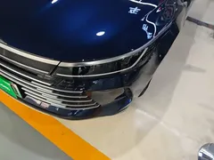 2024 BYD Destroyer 05 DM-i PHEV 55km Luxury, синий — фото 24