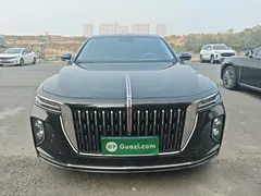 2025 Hongqi H9 2.0T 2WD Premium Luxury Business 5-seat, чёрный — фото 3