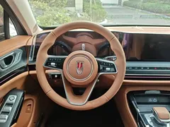 2025 Hongqi H9 2.0T 2WD Premium Luxury Business 5-seat, чёрный — фото 11