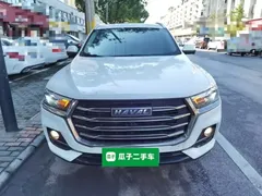 2021 Haval H6 1.5GDIT AT Guochao Champion, белый — фото 3