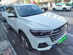 2021 Haval H6 1.5GDIT AT Guochao Champion, белый — фото 4