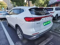 2021 Haval H6 1.5GDIT AT Guochao Champion, белый — фото 5
