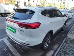 2021 Haval H6 1.5GDIT AT Guochao Champion, белый — фото 7