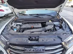 2021 Haval H6 1.5GDIT AT Guochao Champion, белый — фото 20