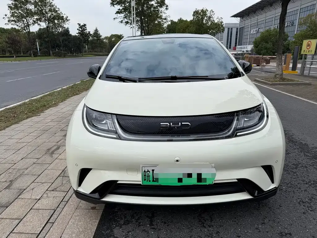 2024 BYD Dolphin Honor 420km Fashion