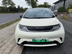 2024 BYD Dolphin Honor 420km Fashion, белый — фото 1
