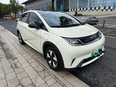 2024 BYD Dolphin Honor 420km Fashion, белый — фото 4