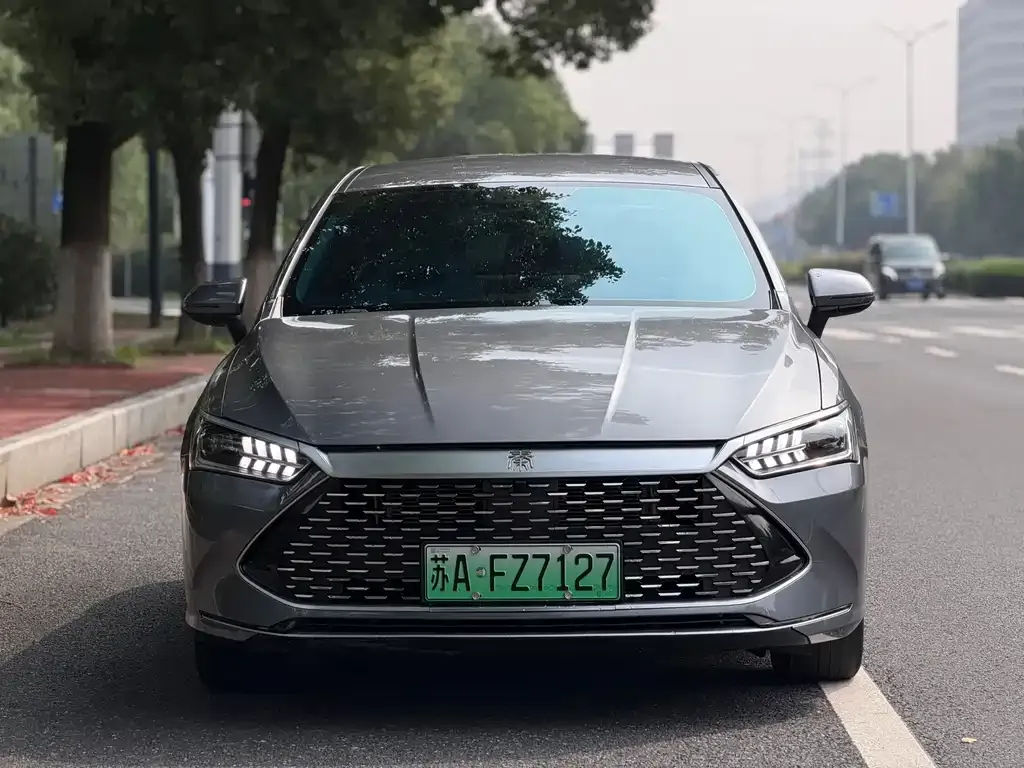 2024 BYD Qin PLUS Honor DM-i PHEV 55km Leading