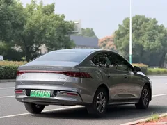 2024 BYD Qin PLUS Honor DM-i PHEV 55km Leading — фото 6