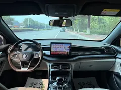 2024 BYD Qin PLUS Honor DM-i PHEV 55km Leading — фото 12
