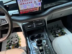 2024 BYD Qin PLUS Honor DM-i PHEV 55km Leading — фото 15