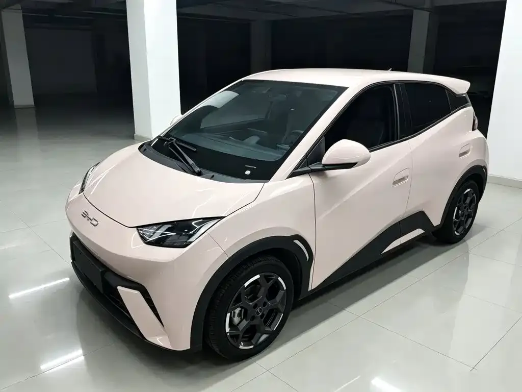 2025 BYD Seagull 305km Freedom