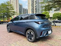 2025 BYD Dolphin 420km Freedom, синий — фото 16