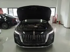 2025 Hongqi H5 PHEV 170, чёрный — фото 20