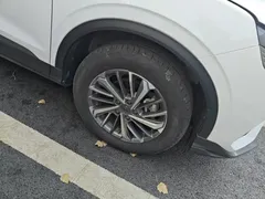 2023 Geely Coolray 1.4T MT Gold, белый — фото 24