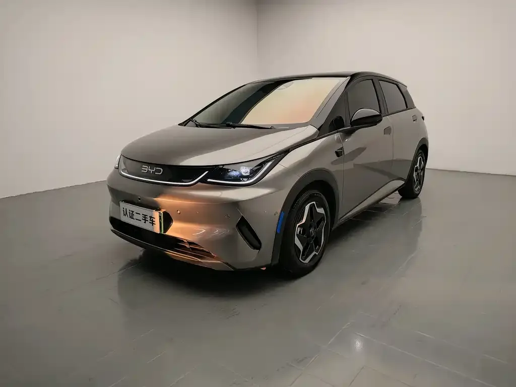 2025 BYD Dolphin Smart Driving 420km Freedom EV