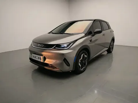 2025 BYD Dolphin Smart Driving 420km Freedom EV