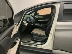 2025 BYD Dolphin Smart Driving 420km Freedom EV, белый — фото 12