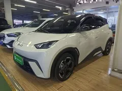 2024 BYD Seagull EV 305km Honor Freedom, белый — фото 2