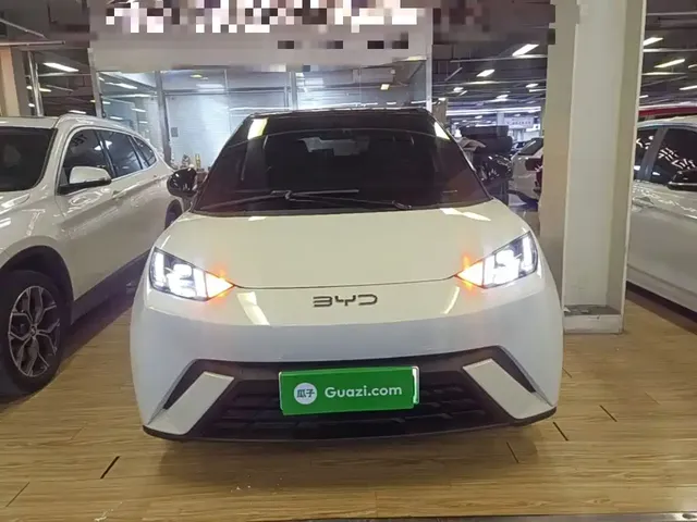2024 BYD Seagull EV 305km Honor Freedom