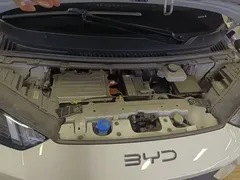 2024 BYD Seagull EV 305km Honor Freedom, белый — фото 20