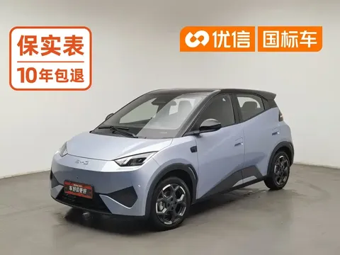 2025 BYD Seagull Smart Driving 305km Freedom