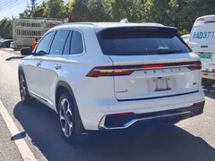 2021 Geely Monjaro 2.0TD DCT EVO 2WD Premium, белый — фото 7