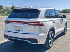 2021 Geely Monjaro 2.0TD DCT EVO 2WD Premium, белый — фото 9