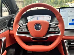 2025 BYD Tang ADAS DM-i PHEV 175KM Premium — фото 11