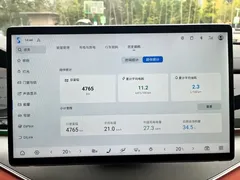 2025 BYD Tang ADAS DM-i PHEV 175KM Premium — фото 12