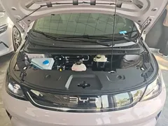 2025 BYD Dolphin Smart Driving 410km Fashion, чёрный — фото 20