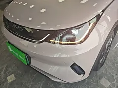 2025 BYD Dolphin Smart Driving 410km Fashion, чёрный — фото 24