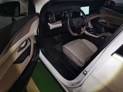 2023 BYD Song Pro Champion DM-i PHEV 71km, белый — фото 12