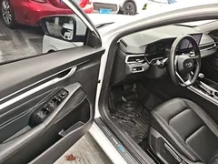 2023 Geely Emgrand 4th Gen Champion 1.5L CVT Luxury, белый — фото 16