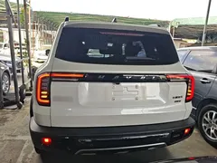 2021 Haval Dargo 2.0T DCT 4WD, белый — фото 6
