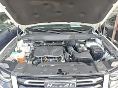 2021 Haval Dargo 2.0T DCT 4WD, белый — фото 20