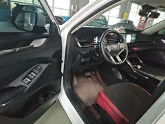 2021 Haval H6 3rd Gen 1.5T AT 2WD Pro, белый — фото 21