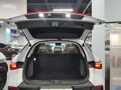 2023 BYD Yuan PLUS Champion 510km Excellence — фото 19
