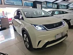2025 BYD Dolphin 420km Freedom, белый — фото 4