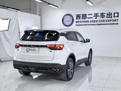 2021 Geely Coolray 1.4T DCT Platinum, белый — фото 19