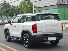 2022 Haval Cool Dog 1.5T DCT 2WD, белый — фото 6