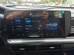 2022 Haval Cool Dog 1.5T DCT 2WD, белый — фото 15